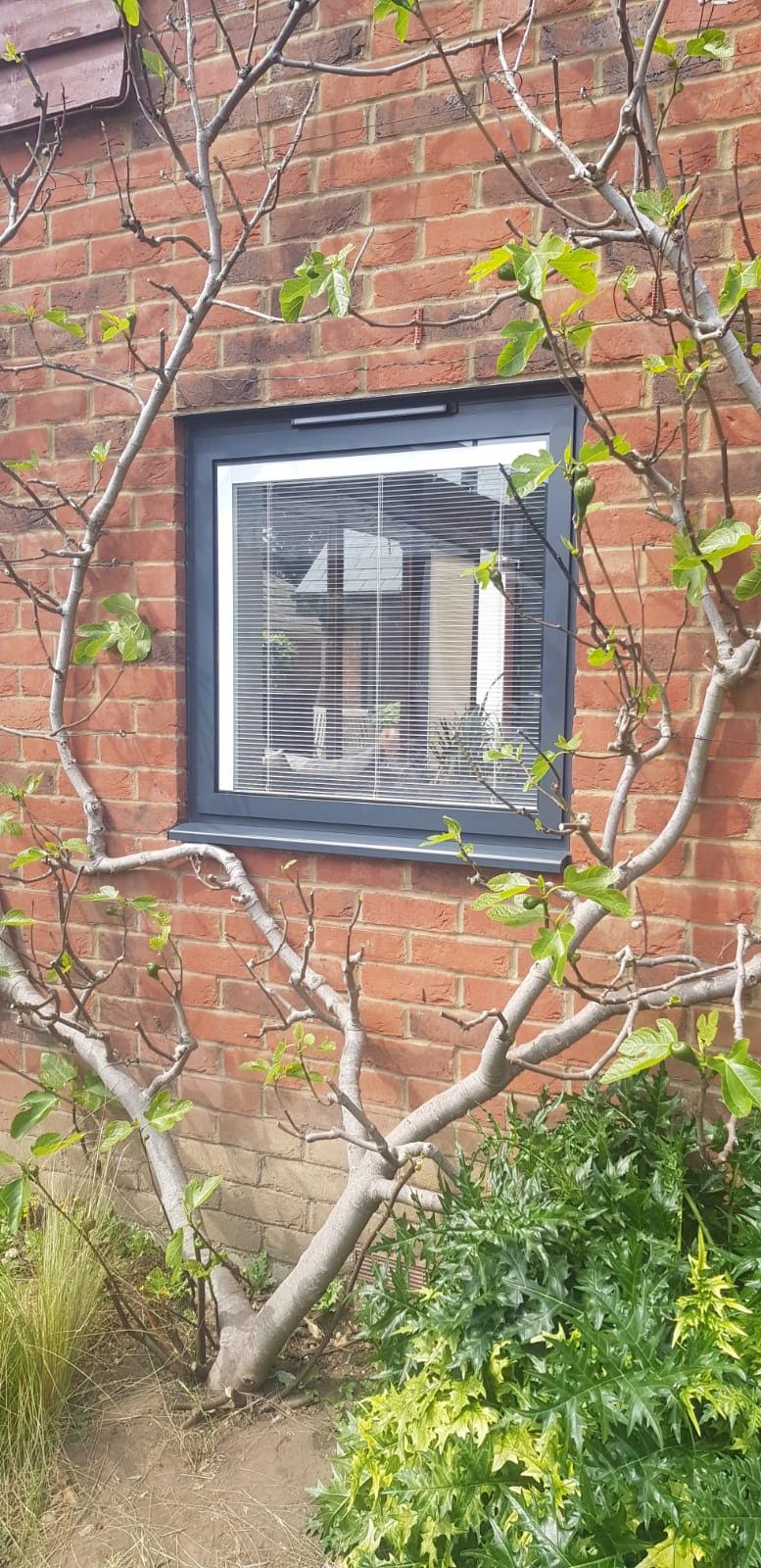 Pretty little aluminium window leading onto a garden.
